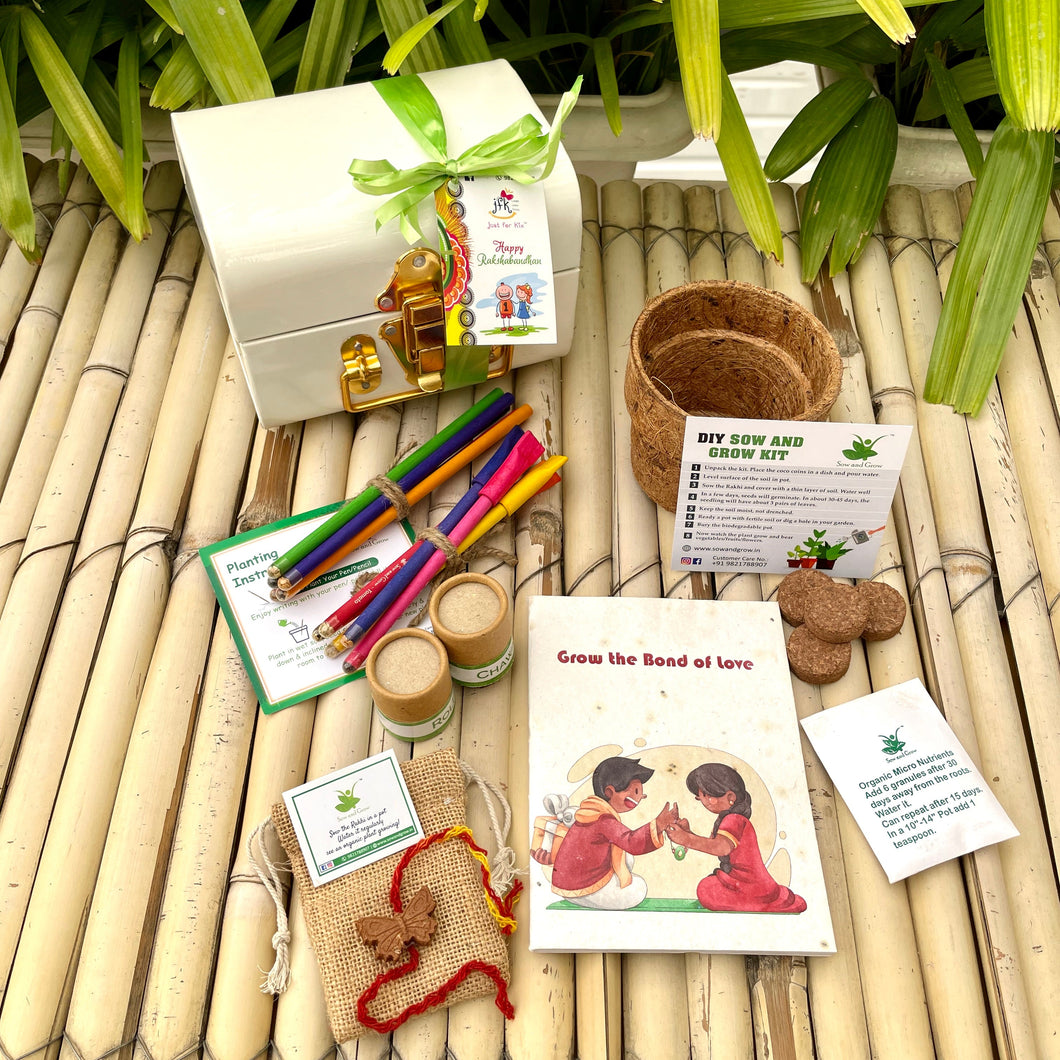 Rakhi Gift Hamper with Butterfly Rakhi