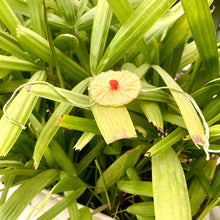Load image into Gallery viewer, Thread Rakhi with Roil Chawal Combo
