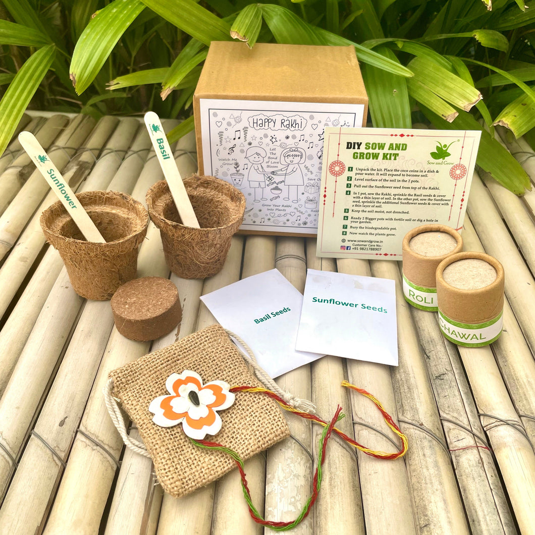 Seed Paper Rakhi Set: Rakhi with Seeds | Combo with a DIY Gardening Kit
