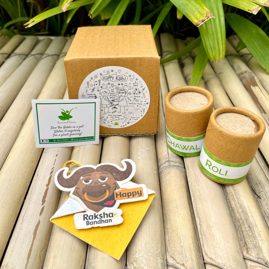 Big Bull: Kids 3-in-1 Bookmark Plantable Rakhi with Roil Chawal Combo