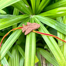 Load image into Gallery viewer, Aeroplane: Clay Rakhi with Seeds
