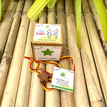 Load image into Gallery viewer, Star: Clay Rakhi with Seeds
