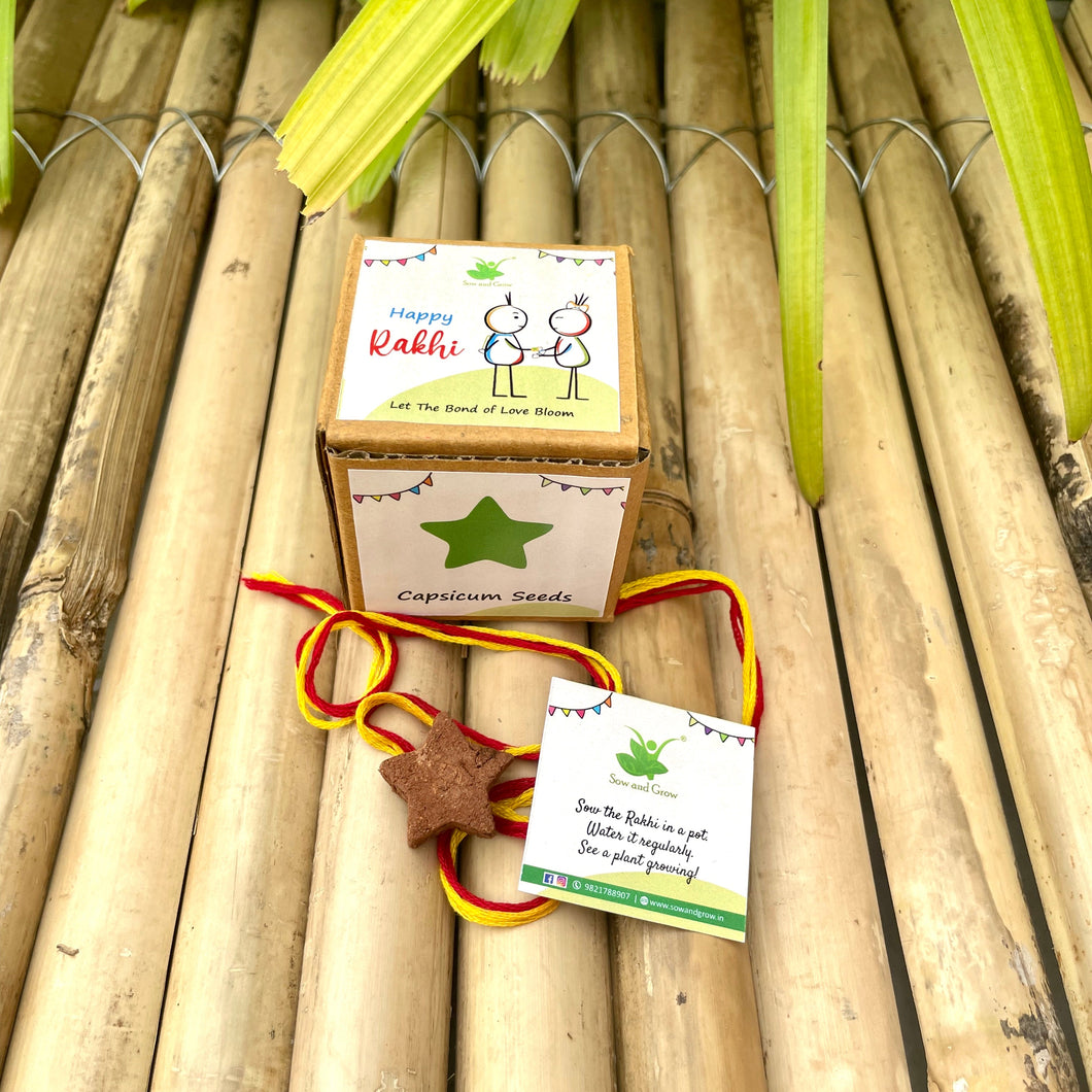 Star: Clay Rakhi with Seeds