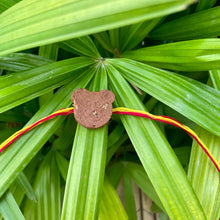 Load image into Gallery viewer, Teddy Bear: Clay Rakhi with a Chocolate and Roil Chawal Combo
