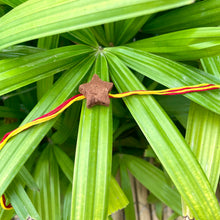 Load image into Gallery viewer, Star: Clay Rakhi with Seeds
