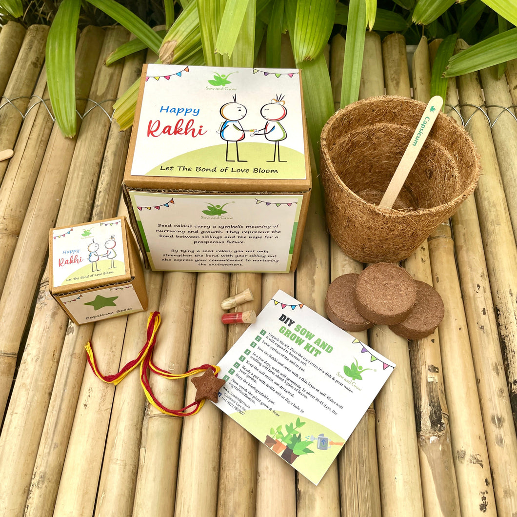 Star: Clay Rakhi with Capsicum Seeds | Combo with a DIY Grow Kit