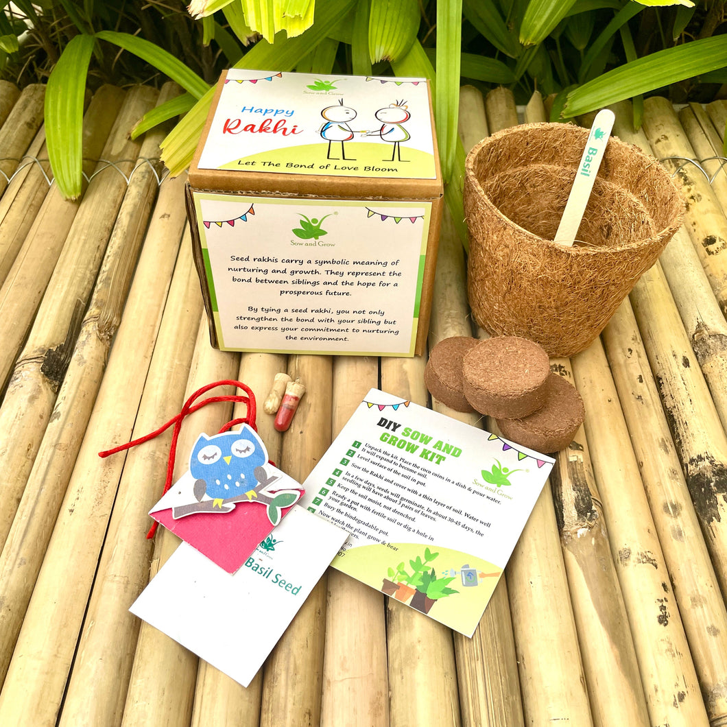Blue Owl on a Branch :Kids 3-in-1 Bookmark Plantable Rakhi | Rakhi with Seeds| Combo with a Gardening Kit