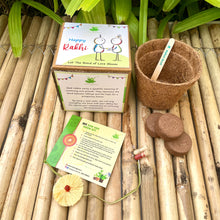 Load image into Gallery viewer, Thread Rakhi with Italian Basil Seeds | Combo with a DIY Gardening Kit
