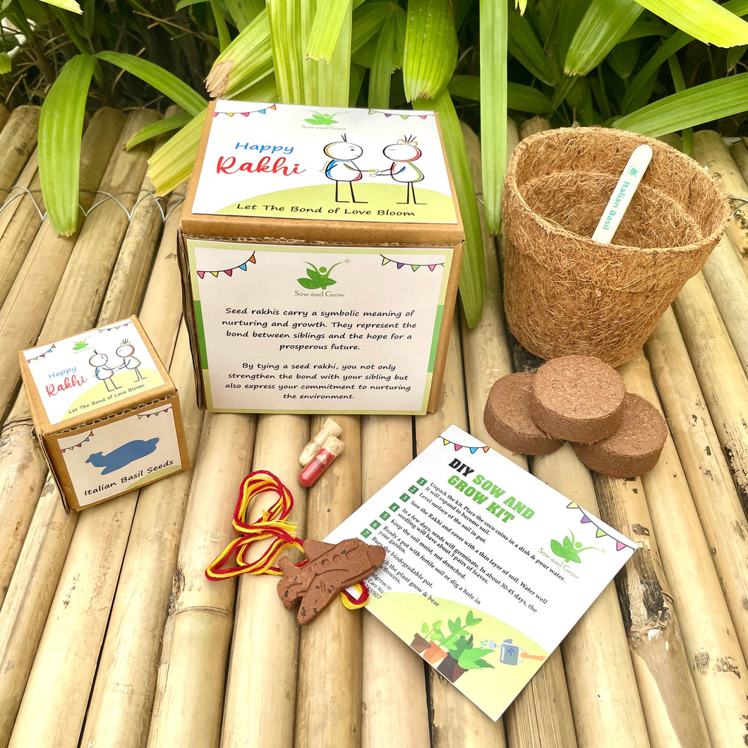 Aeroplane: Plantable Clay Rakhi with Italian Basil Seeds | Combo with a DIY Grow Kit