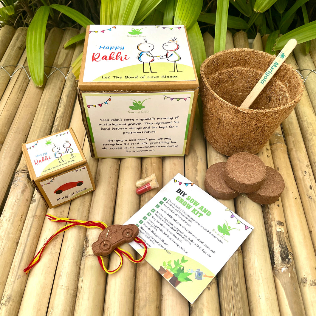 Car: Clay Rakhi with Marigold Seeds | Combo with a DIY Grow Kit