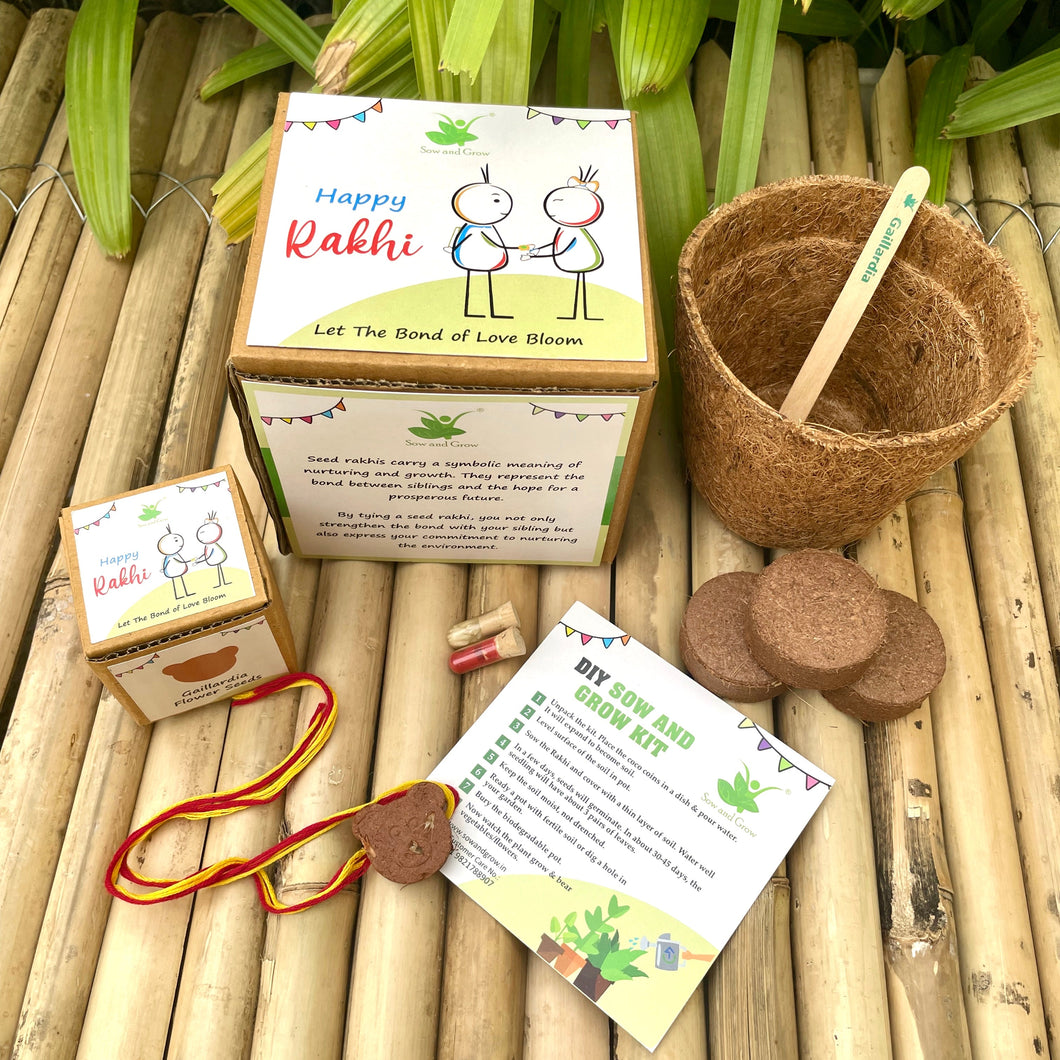 Teddy Bear: Clay Rakhi with Gaillardia Seeds | Combo with a DIY Grow Kit
